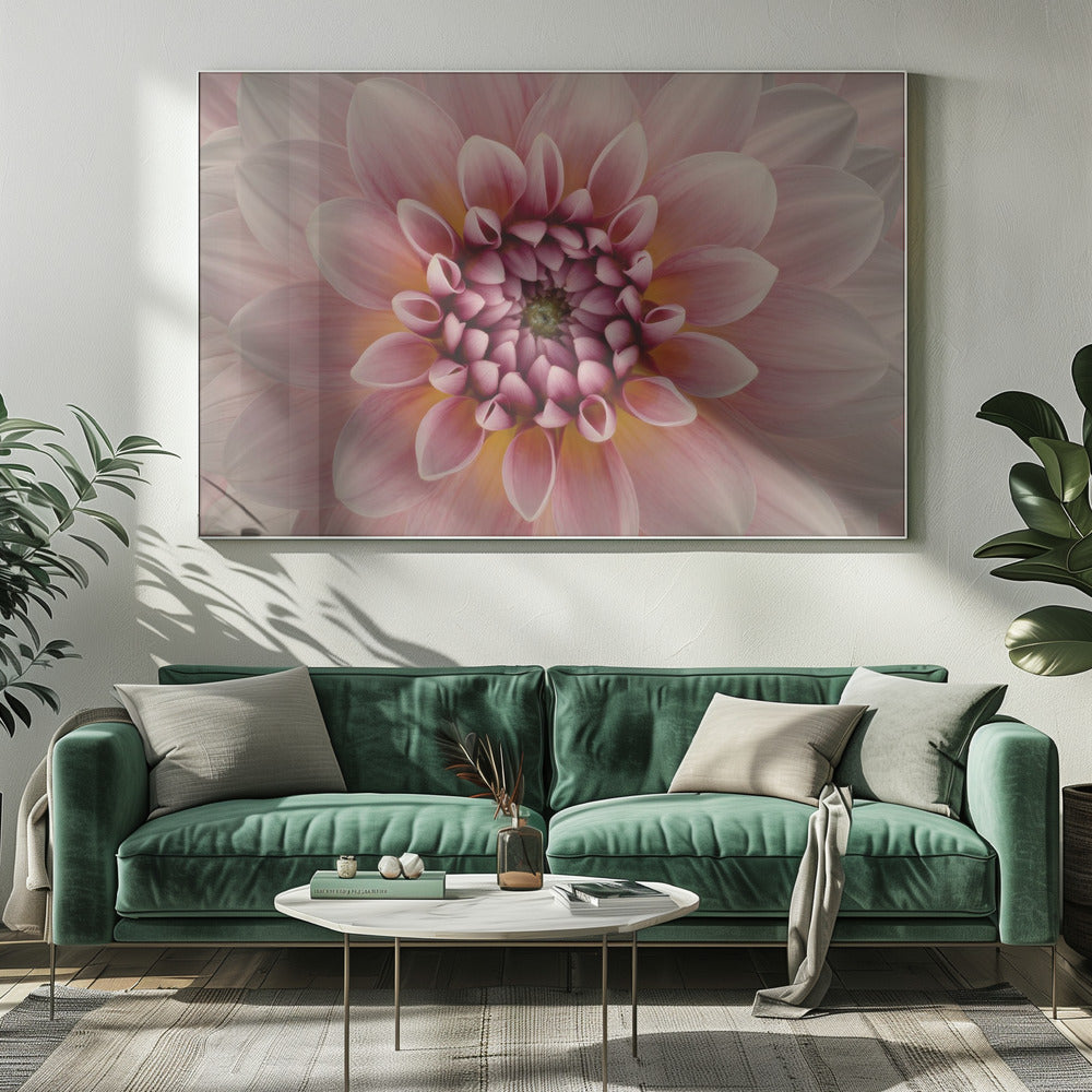 Blush | Canvas