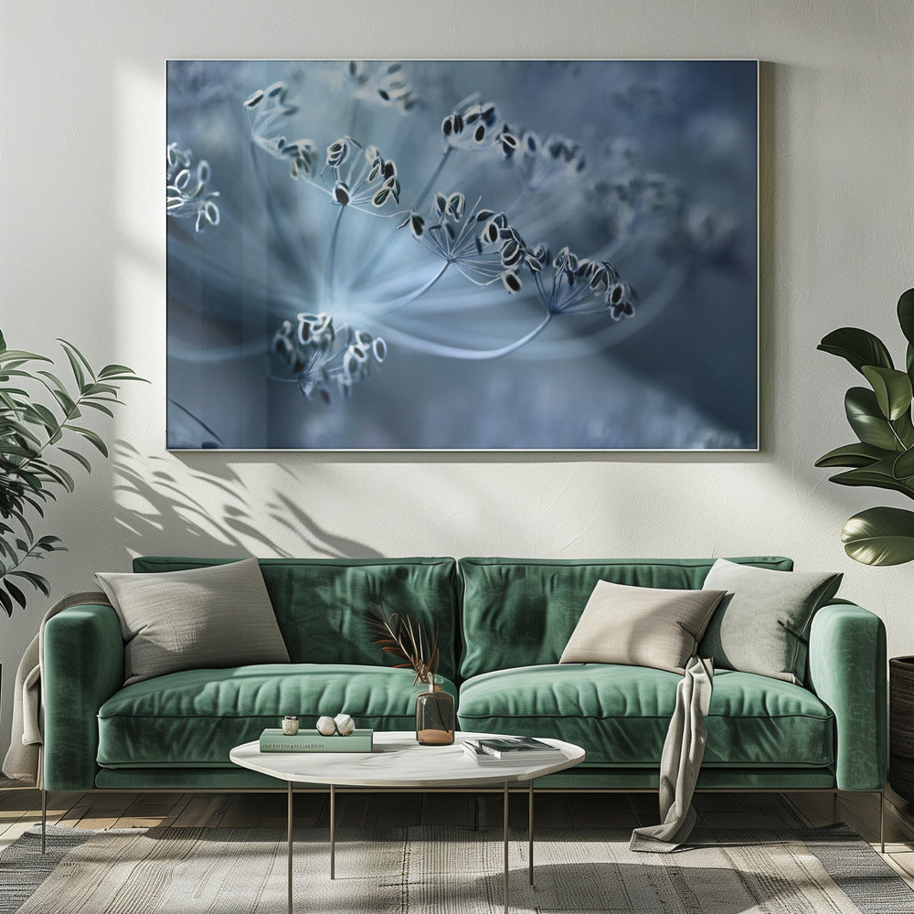 Dille | Canvas