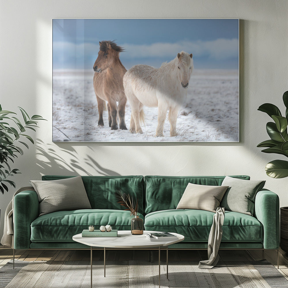 BROERS | Canvas