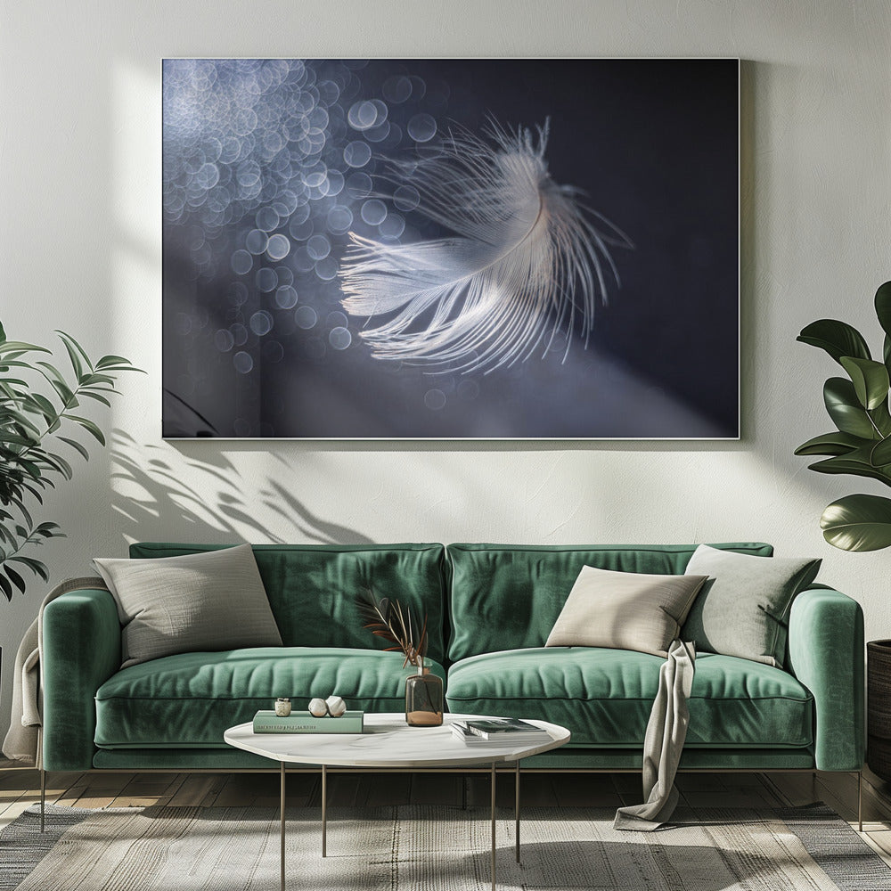Placiditeit | Canvas