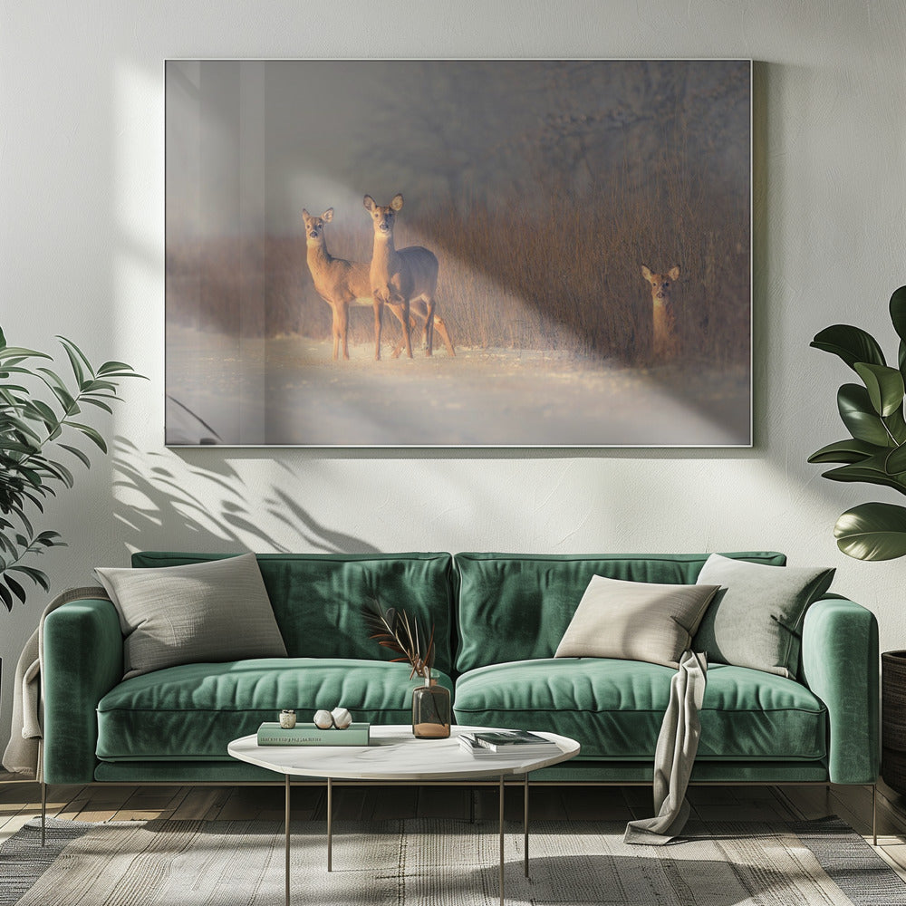 Three Deer | Canvas