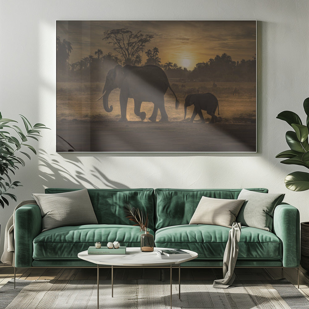 Volg mij | Canvas