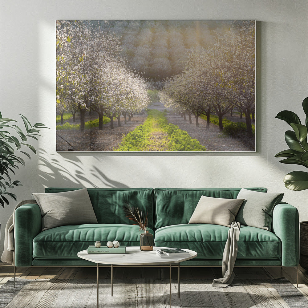 Gouden Amandelen | Canvas