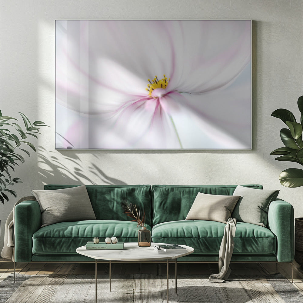 Kosmos | Canvas