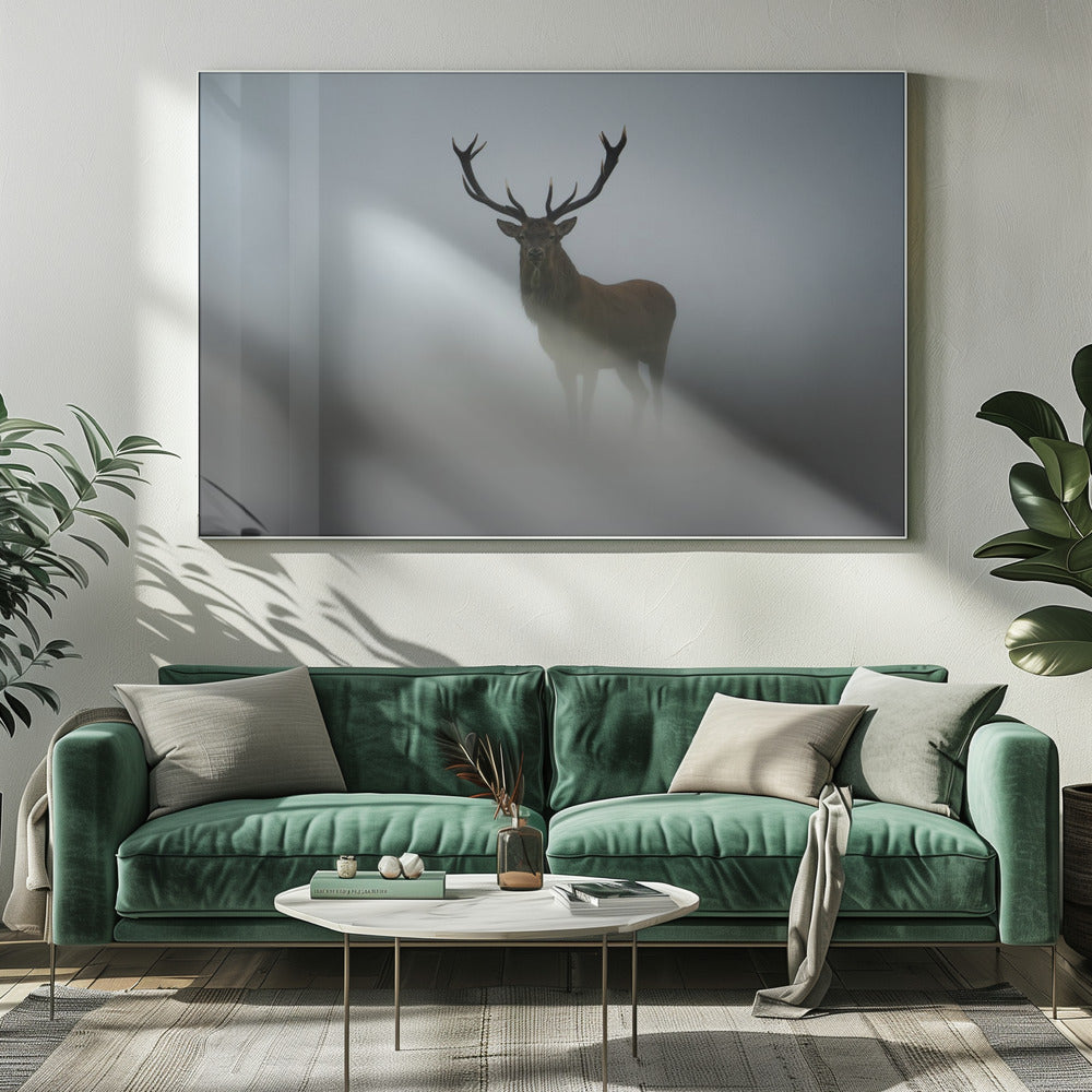 Ephemerality | Canvas