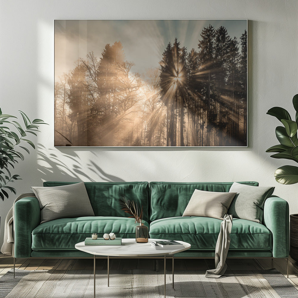 Fading away | Canvas