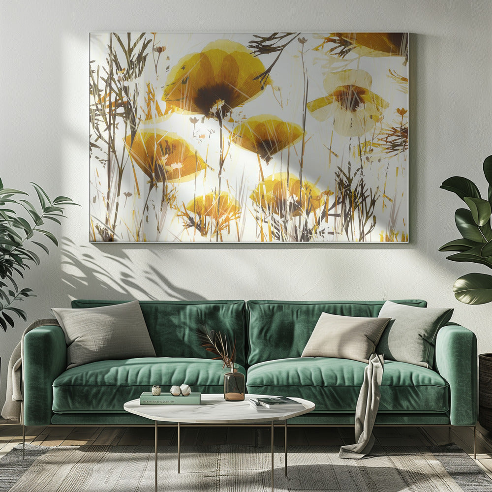 Promise | Canvas