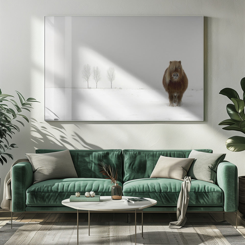 De koude pony | Canvas