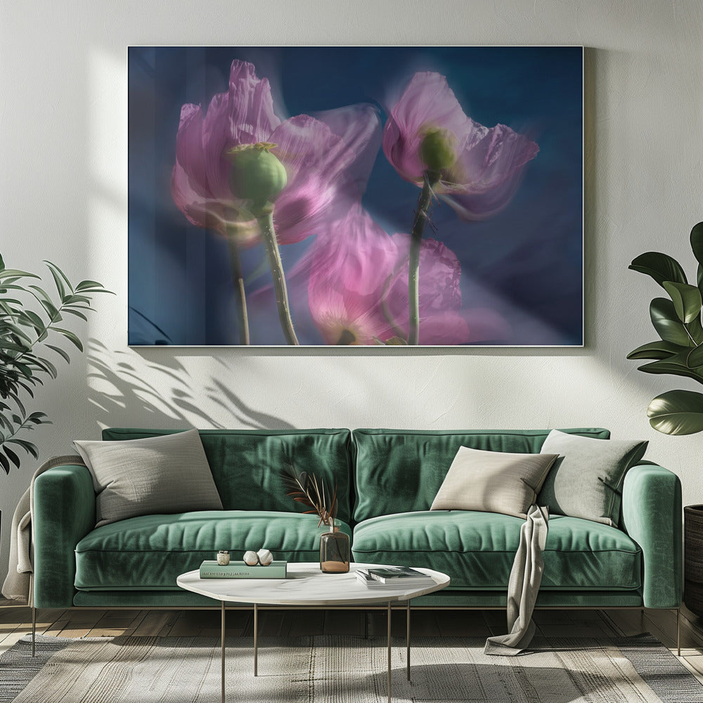 Poppies by the wayside | Canvas
