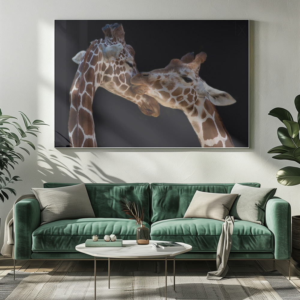 De kus | Canvas