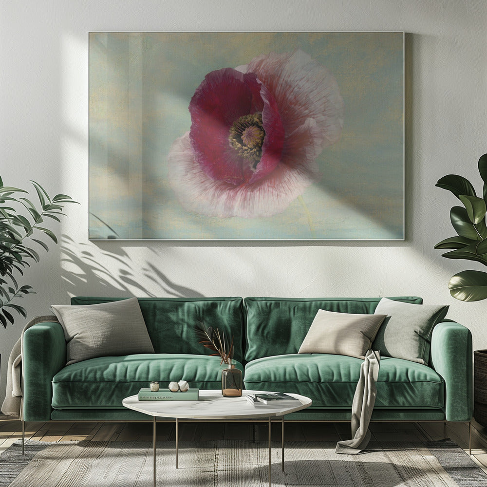 Bourgondische Bonnet | Canvas