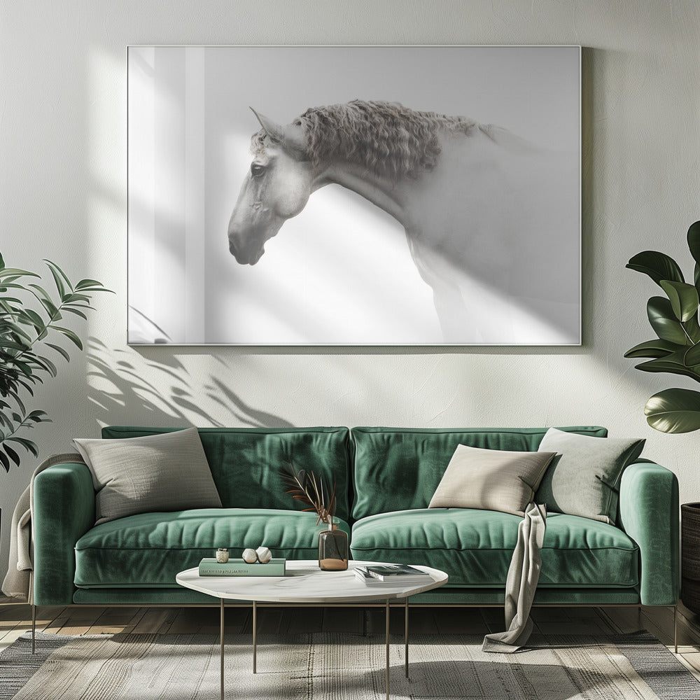 Krullend haar… | Canvas