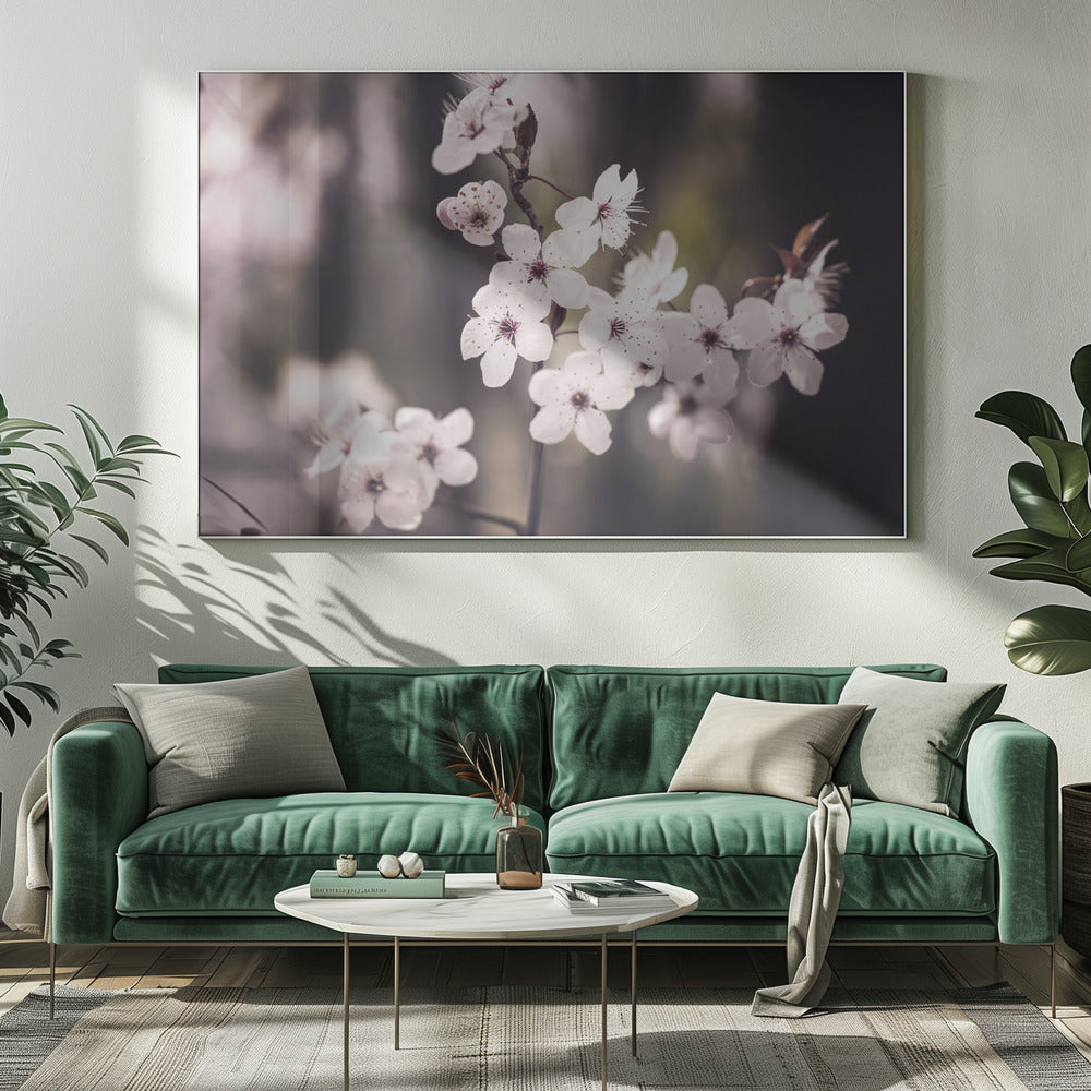 Bloesems | Canvas