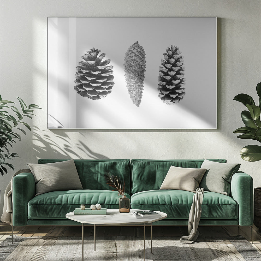Dennenappelstudie | Canvas