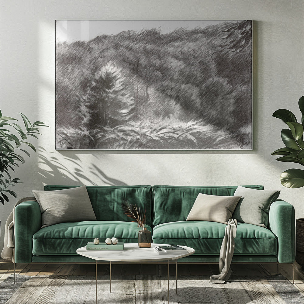 Beek - 21-07-19 | Canvas