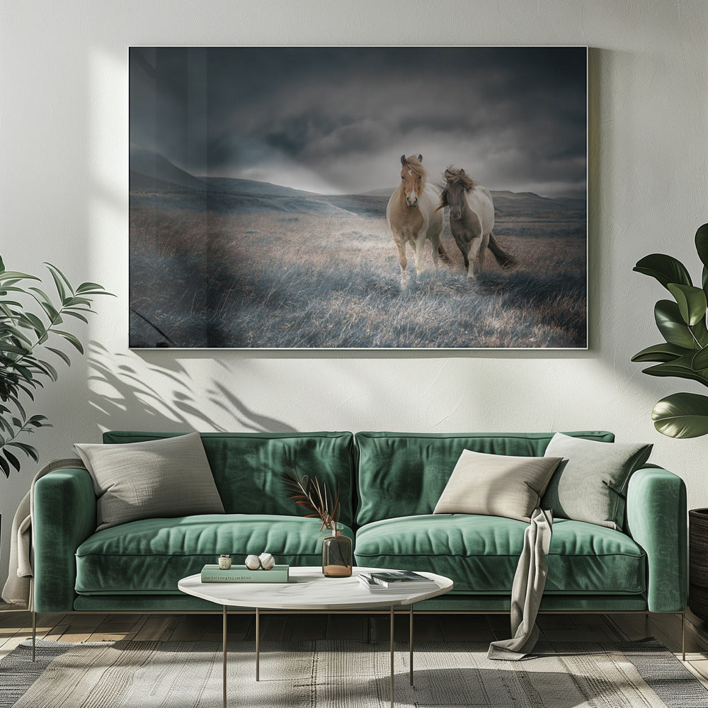 De broers | Canvas