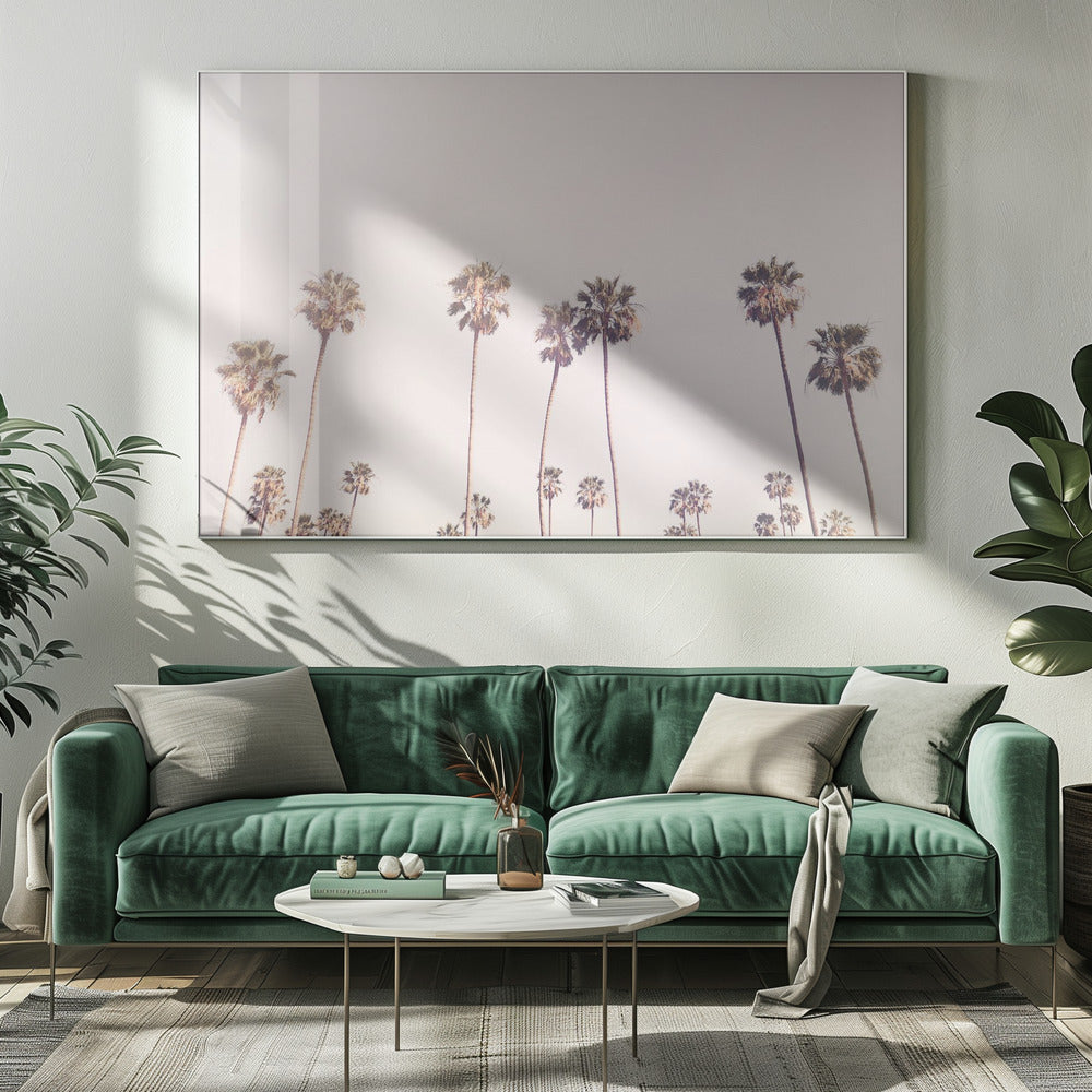 Zonnige Californische palmbomen | Canvas