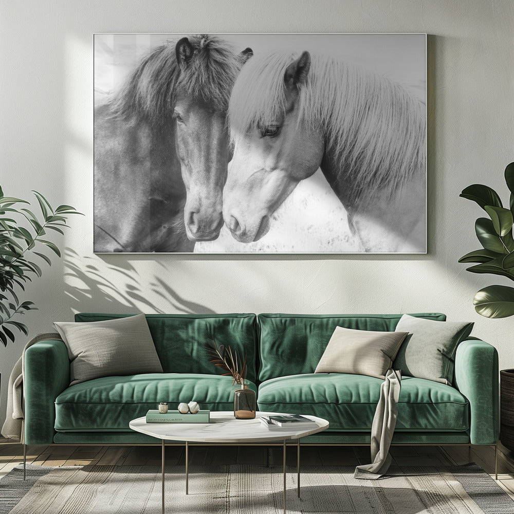 Paardenliefde | Canvas