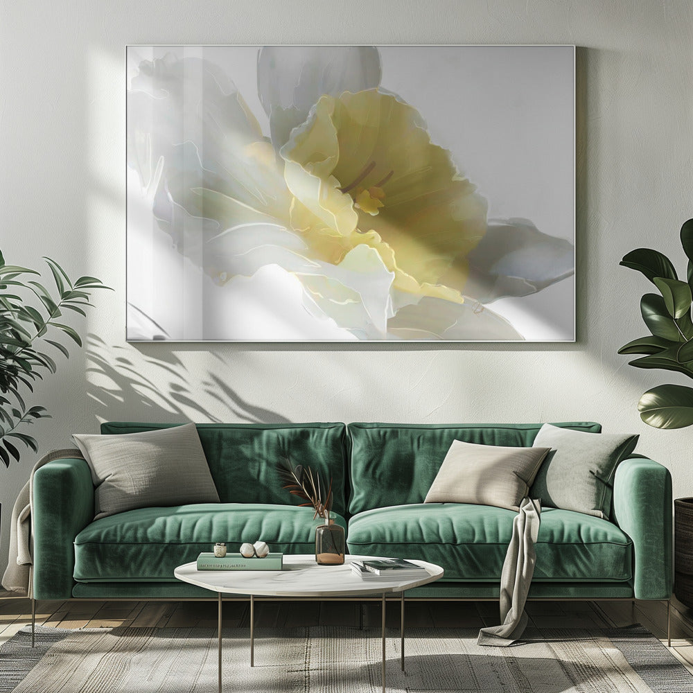 Narcis | Canvas