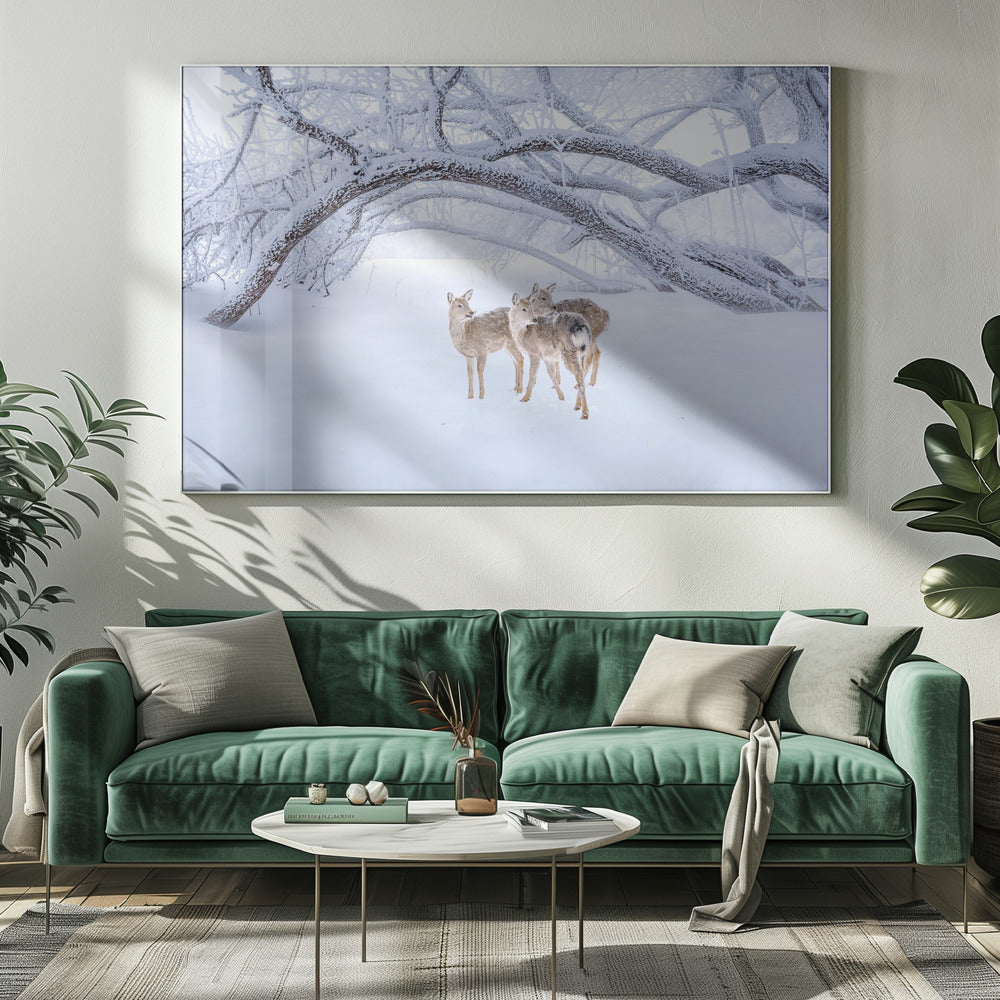 Hertenwandeling in de sneeuw | Canvas