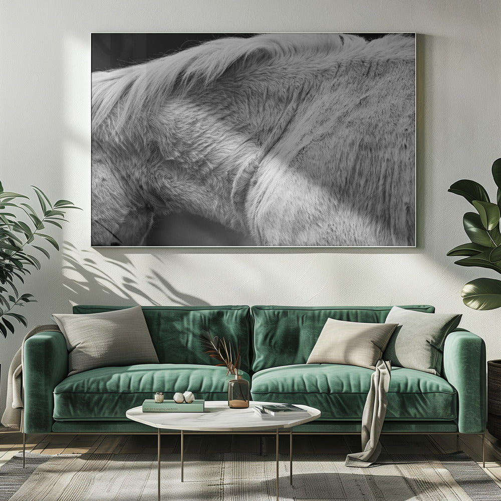 Paard II | Canvas