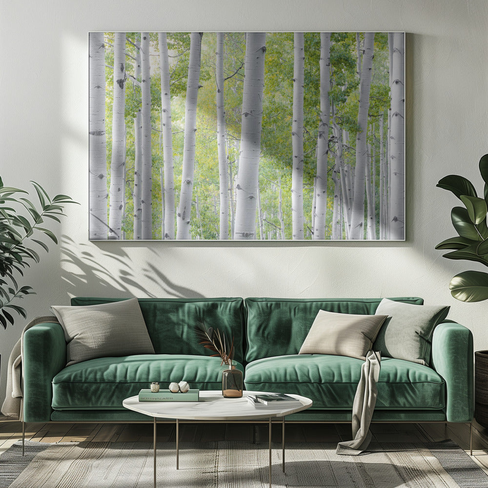 Berkenbos | Canvas