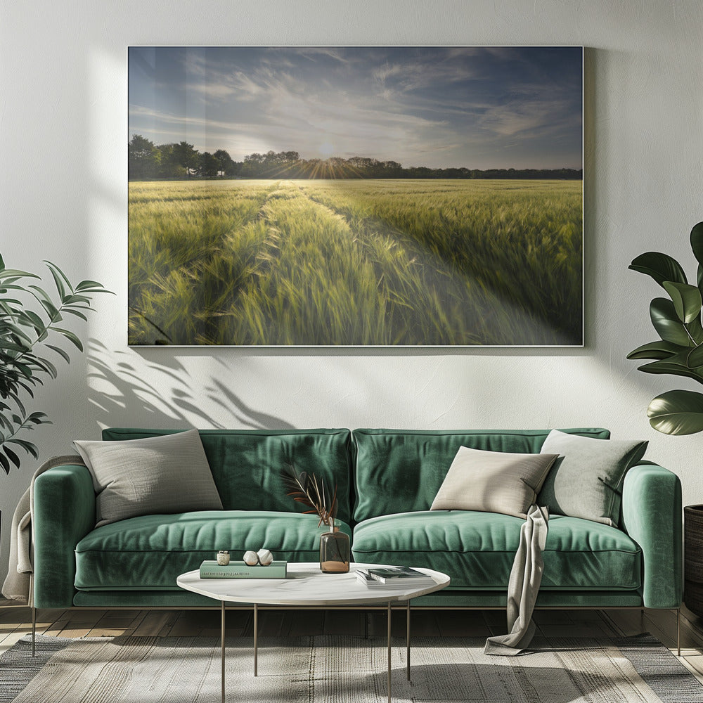 Gerstweide | Canvas