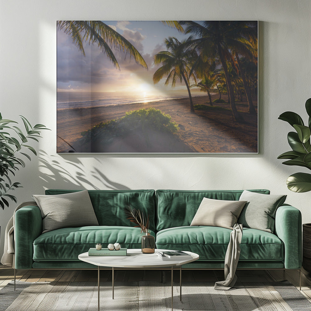Goedemorgen Paradijs | Canvas