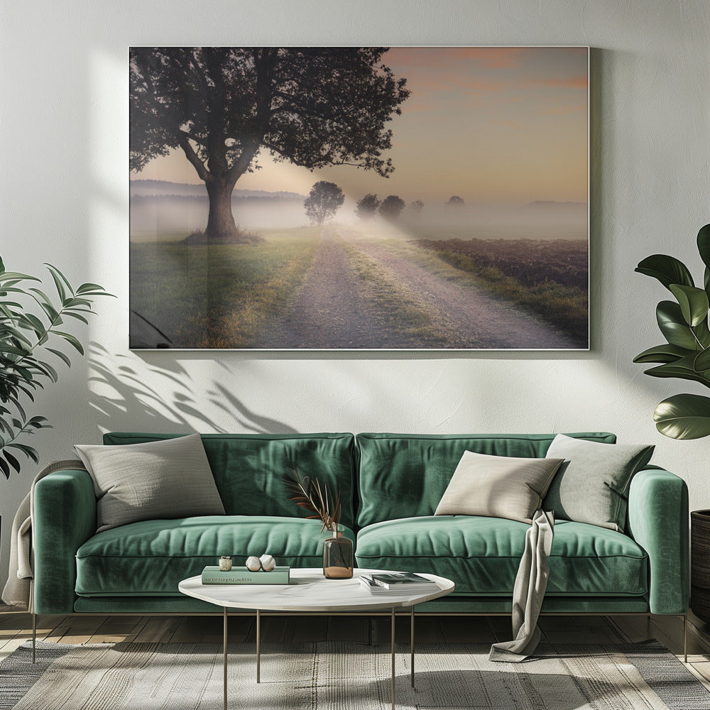Mystic Path | Canvas