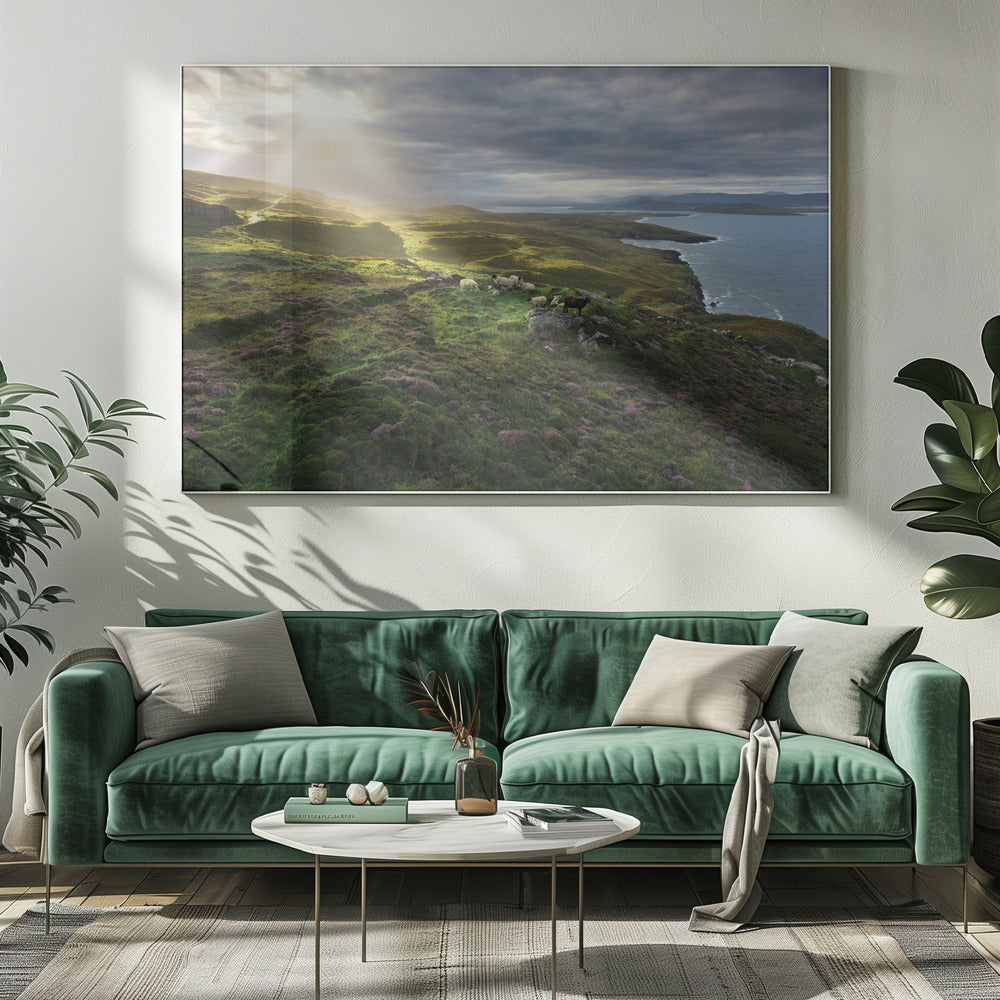 Good Morning Ireland | Canvas