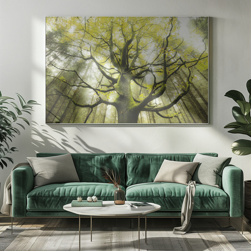 The Dream Tree | Canvas