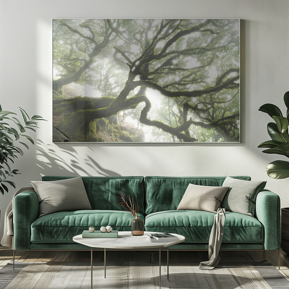 Magic Moment | Canvas