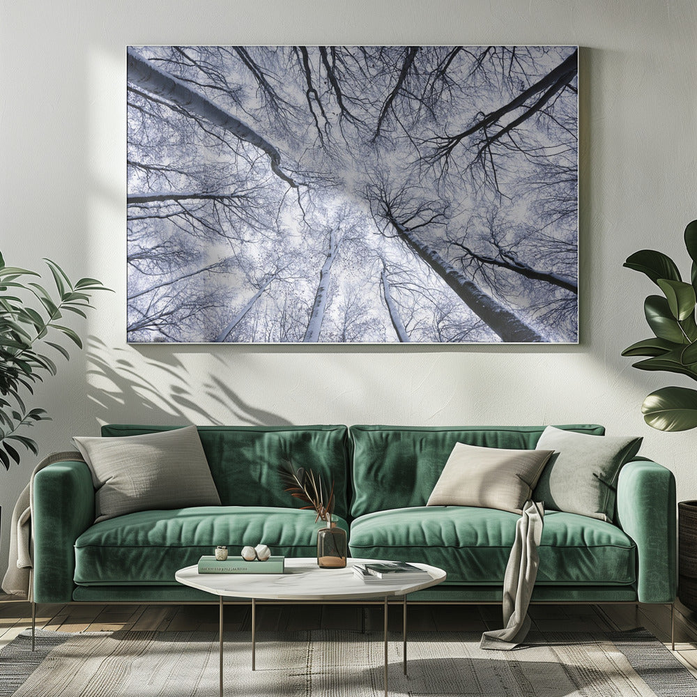 Up II | Canvas