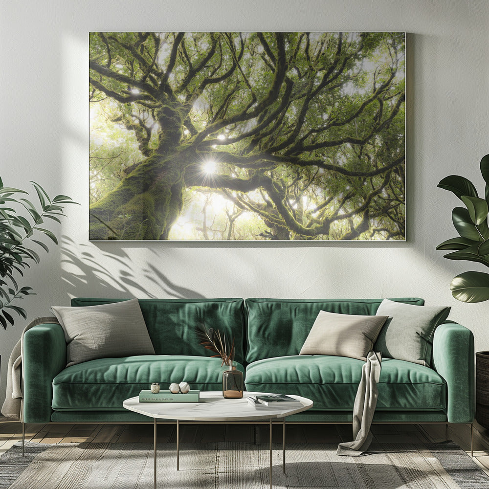 Green Star | Canvas