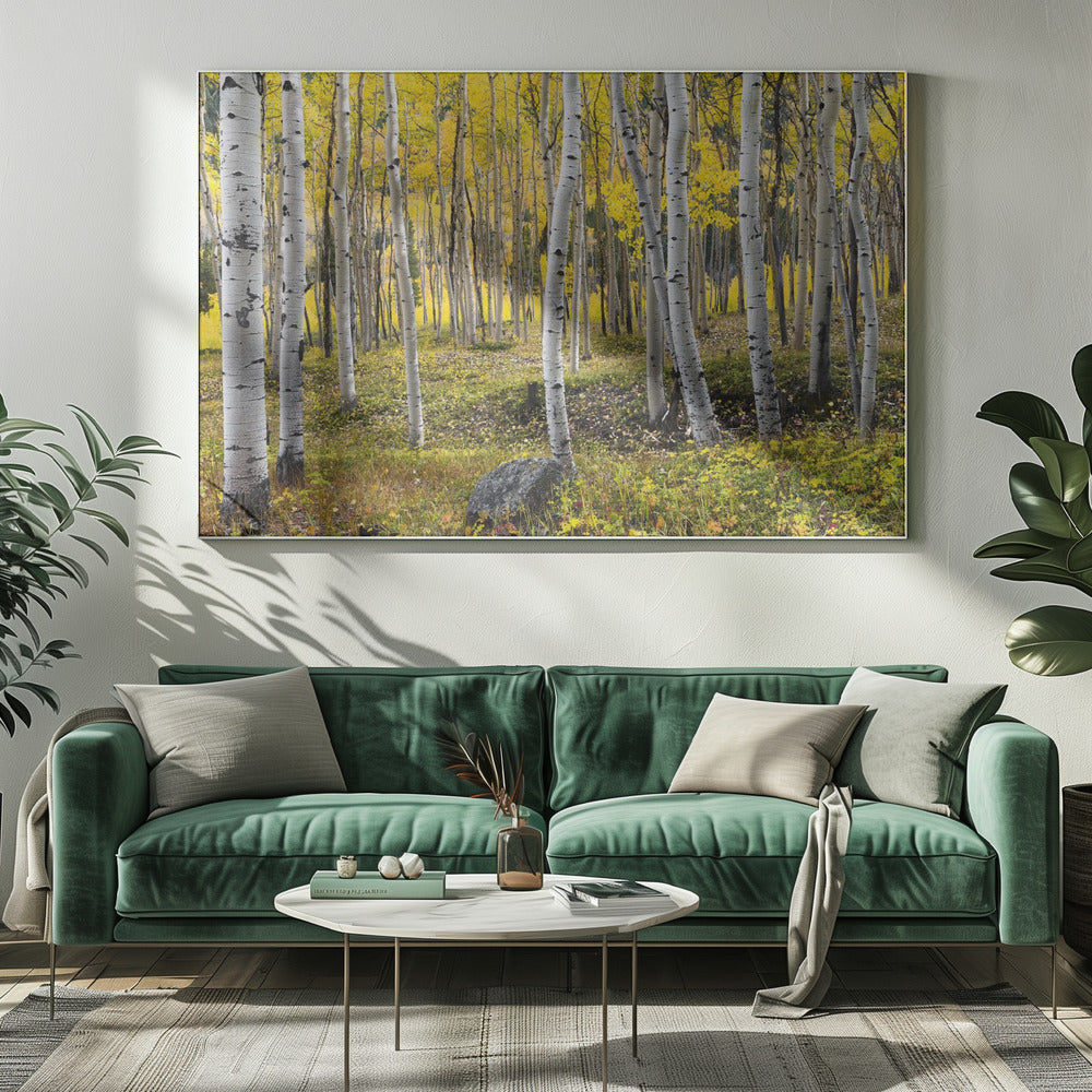Herfstberken | Canvas