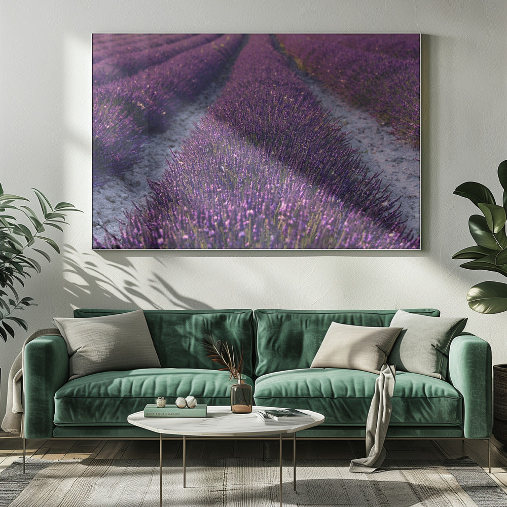Lavendel Detail | Canvas