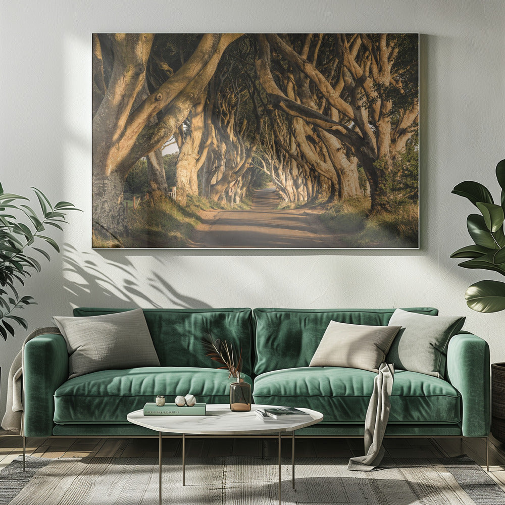 De Laan | Canvas