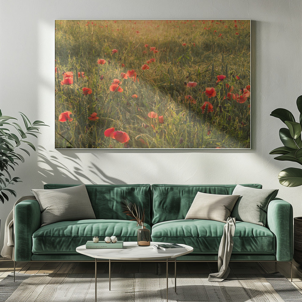 Klaproos Wereld II | Canvas