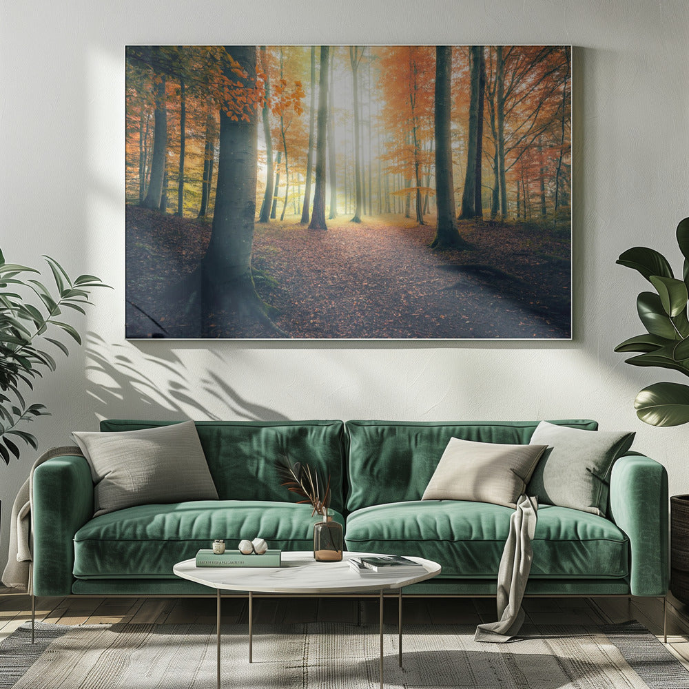 Herfst in het bos | Canvas