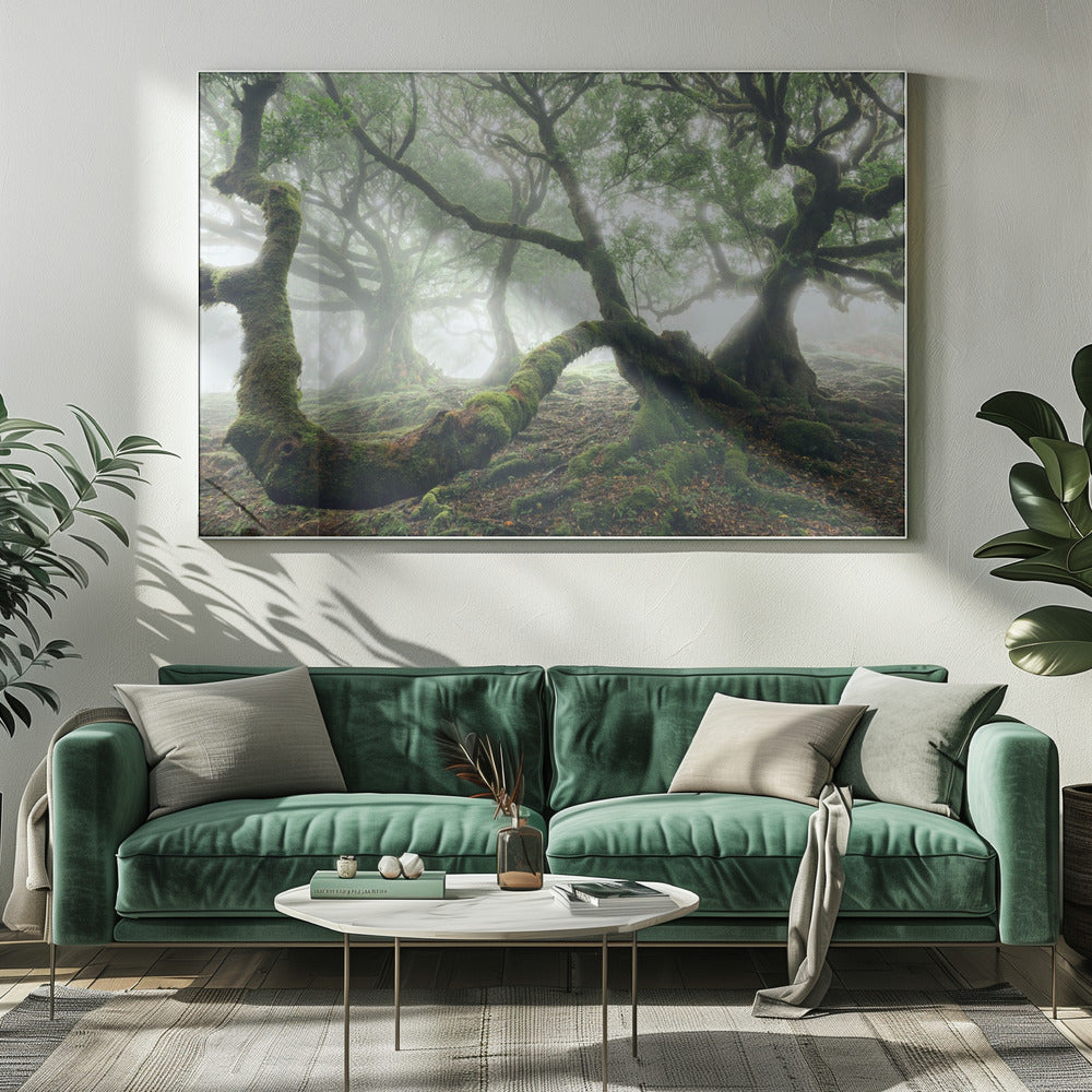 Mystiek Laurierbos | Canvas