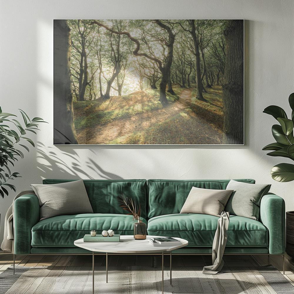 Magisch beukenhout | Canvas
