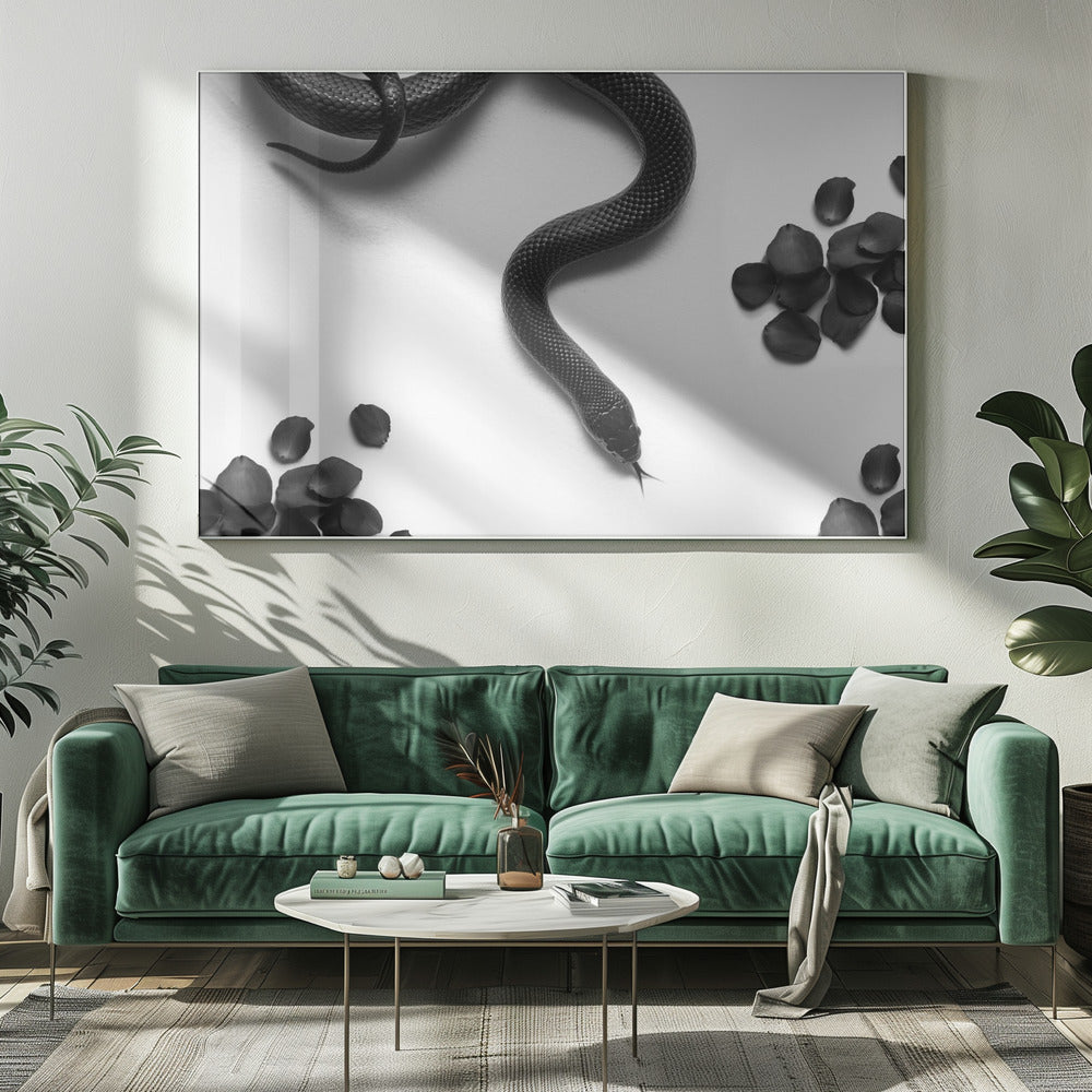 Zwarte slang zwerft | Canvas