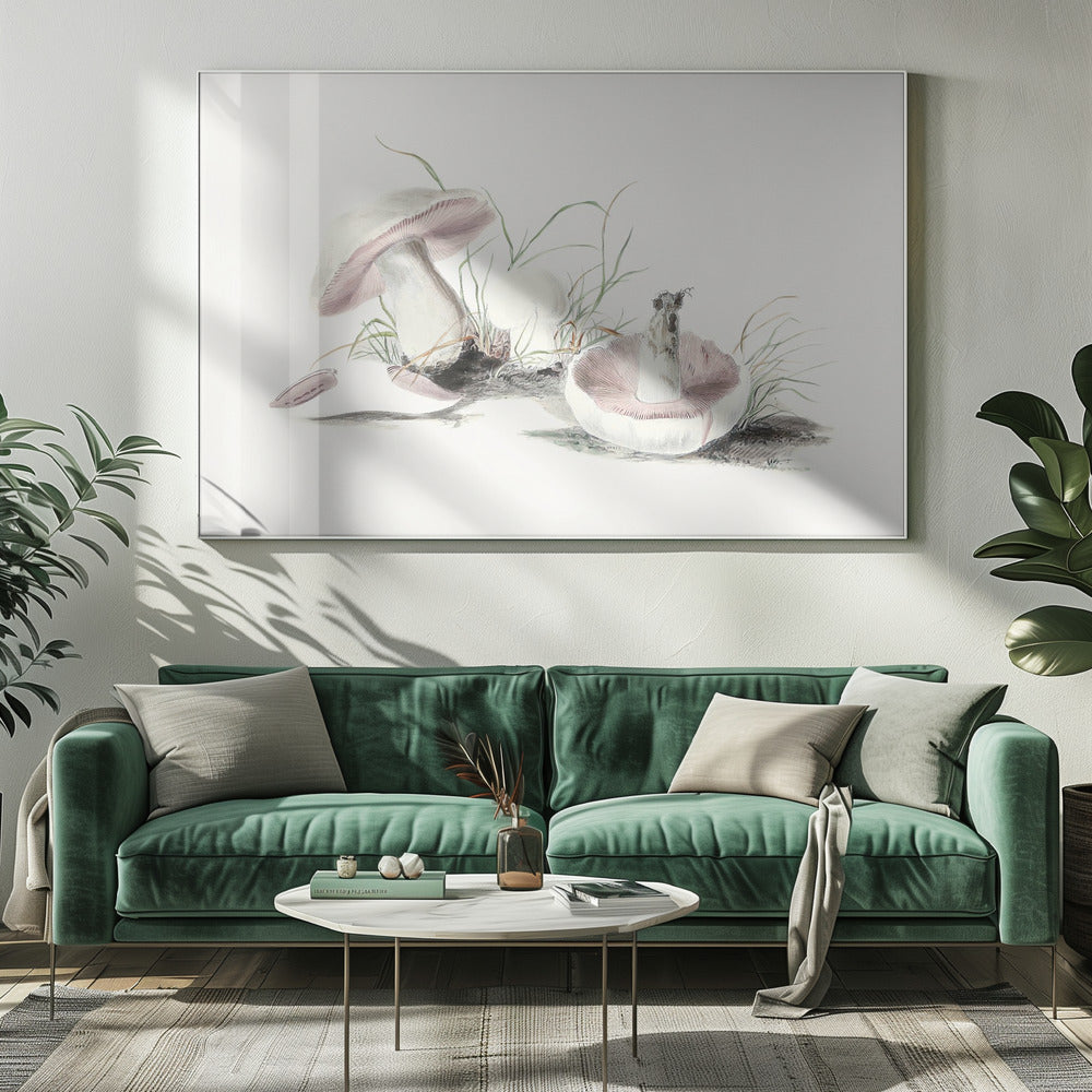 Handgetekende veldpaddestoel | Canvas