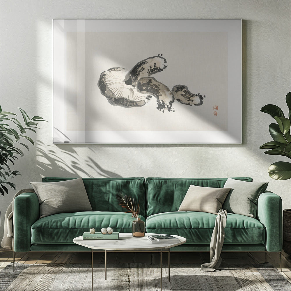 Shiitake-paddenstoel | Canvas