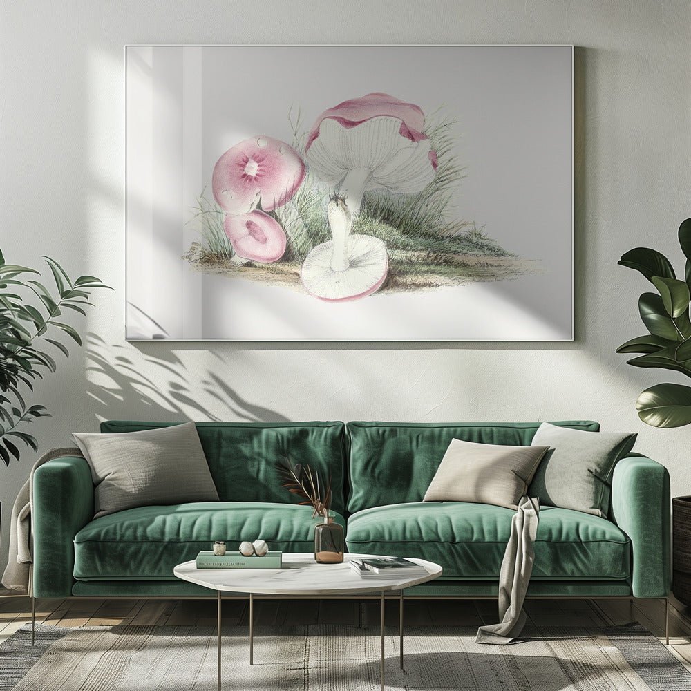 Vintage Russula Emetica Paddenstoel | Canvas