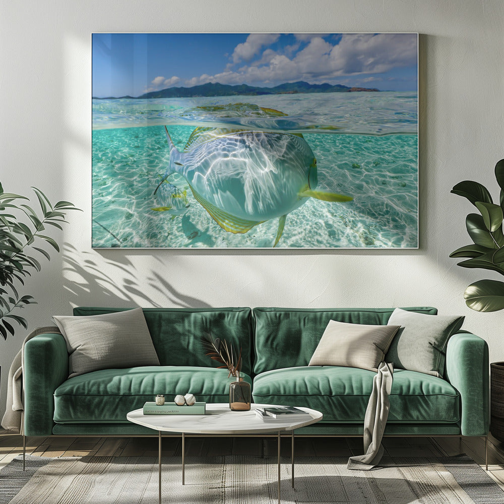 Zwembad | Canvas