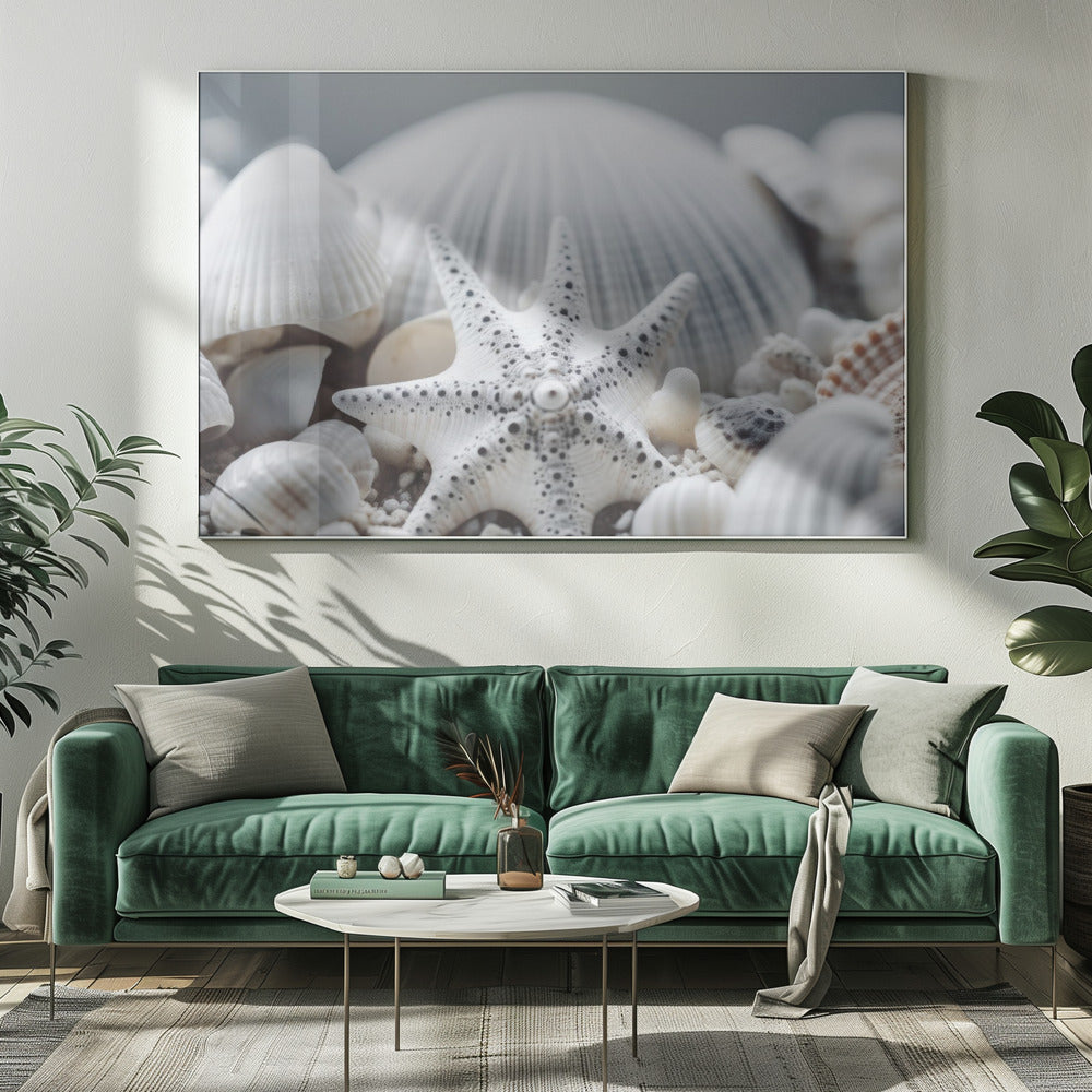 Schelpensymfonie | Canvas