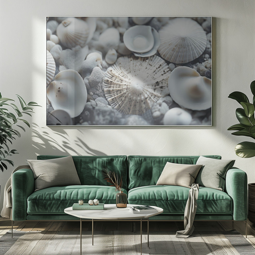 Schelpensymfonie | Canvas
