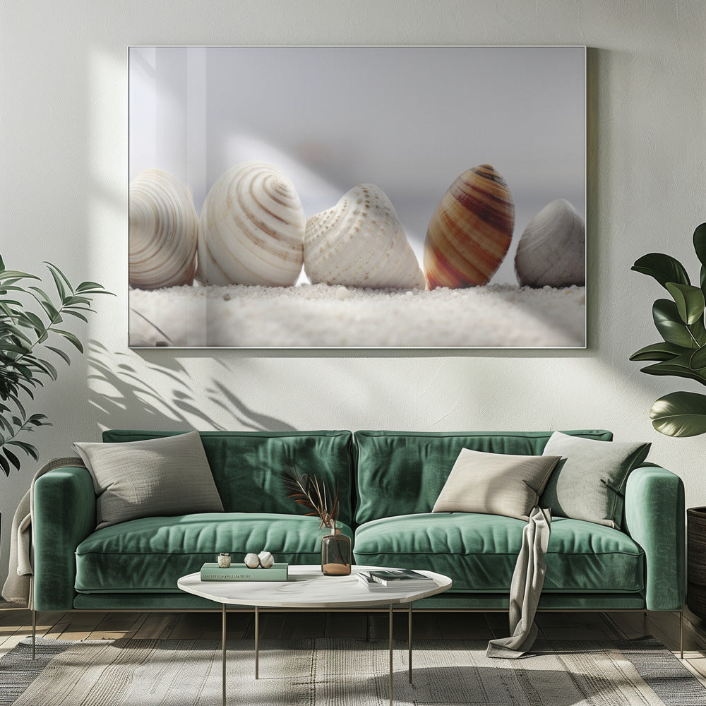 Schelpensymfonie | Canvas
