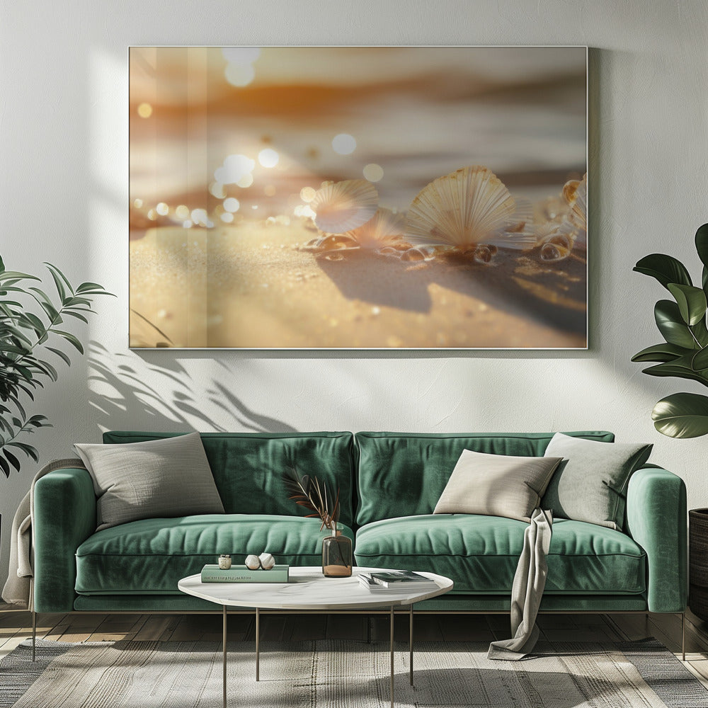 Zonovergoten schelpen | Canvas